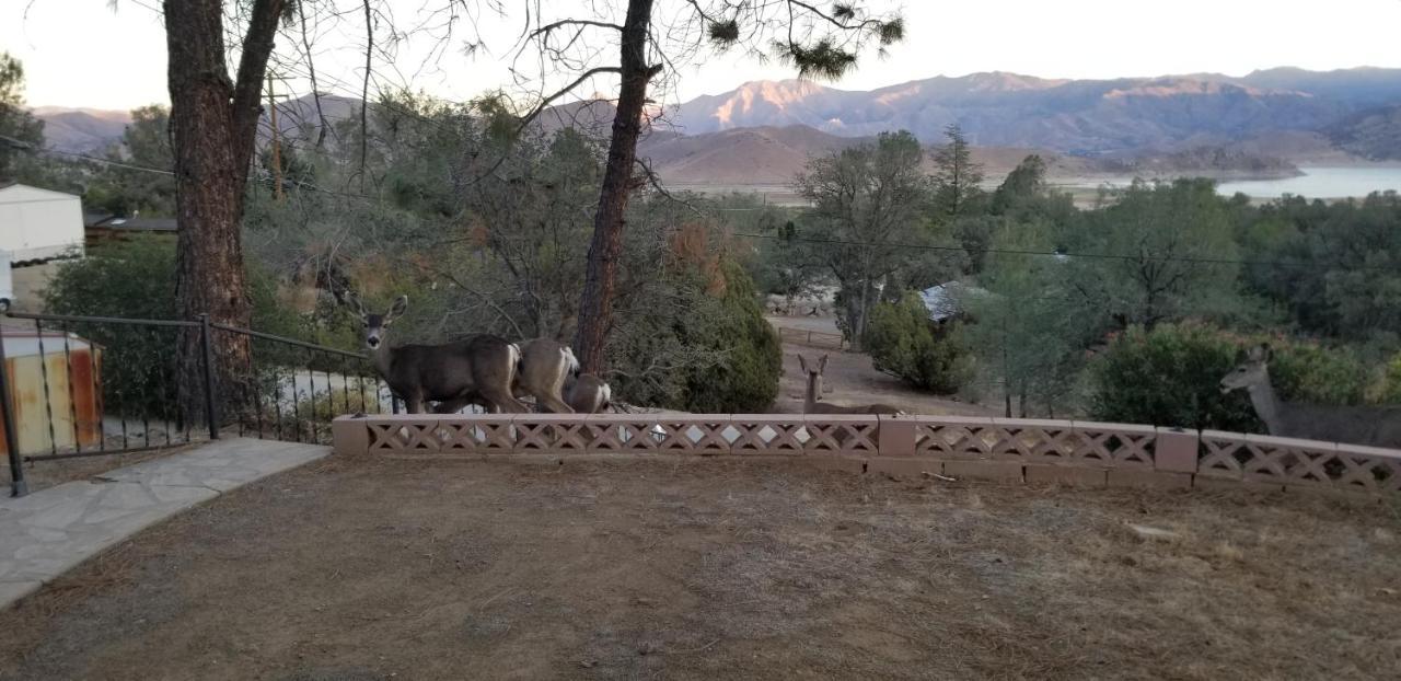 3Br Panoramic Lake View, Sequoia Forest, Kern County Wofford Heights Eksteriør bilde